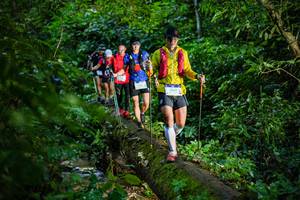 BIB: 9517
                            <button type="button" onclick="openModal(18922520)" class="btn btn-primary btn-sm float-right btn-popup" data-toggle="modal" data-target=".modal-high-quality">
                        <i class="fas fa-shopping-cart"></i> Add to Cart
                    </button>
                                            <button type="button" onclick="isThisMe(18922520, true)" class="btn btn-success btn-sm float-right btn-popup btn-isme hidden" data-toggle="tooltip" data-placement="bottom" title="นี่คือรูปของคุณใช่ไหม คลิกที่นี่เพื่อเอาเข้าอัลบั้ม">
                        <i class="fas fa-plus"></i> Add to album
                    </button>
                    <button type="button" onclick="isThisMe(18922520, false)" class="btn btn-warning btn-sm float-right btn-popup btn-isnotme hidden">
                        <i class="fas fa-ban"></i> Remove from album
                    </button>